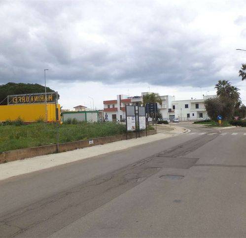 terreno agricolo in vendita a Salve