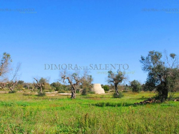 terreno agricolo in vendita a Salve