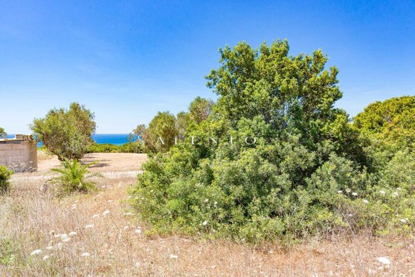 casa indipendente in vendita a Salve in zona Torre Pali