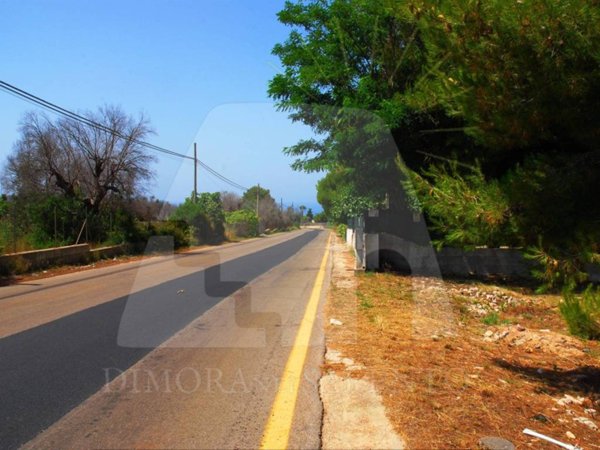 terreno agricolo in vendita a Salve