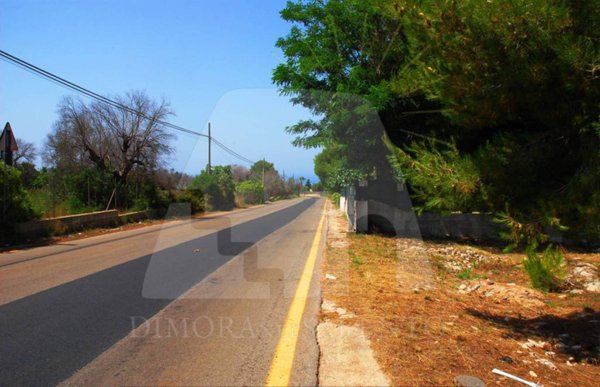 immagine annuncio 0 di 11