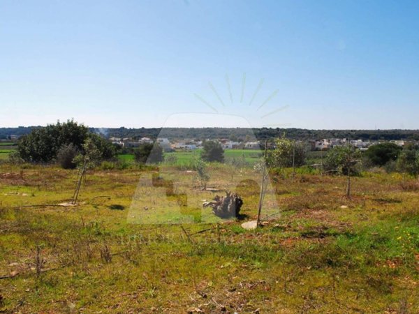 terreno agricolo in vendita a Salve