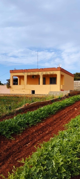 appartamento in vendita a Salve