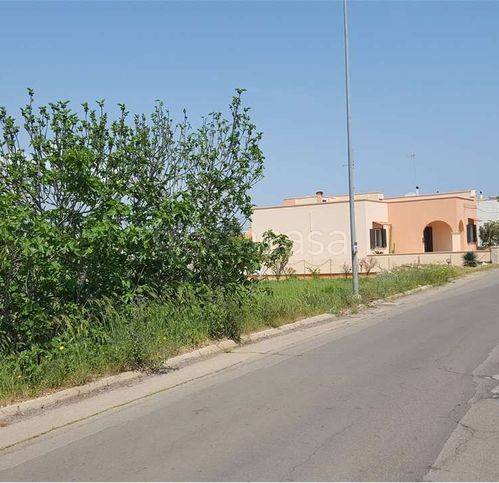 terreno agricolo in vendita a Salve in zona Ruggiano