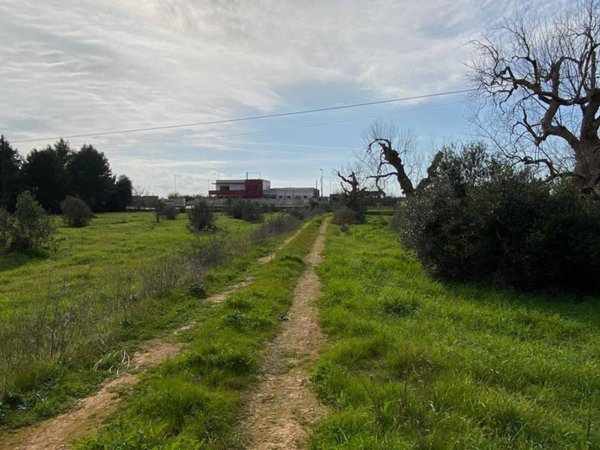terreno agricolo in vendita a Salve