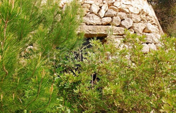 terreno agricolo in vendita a Salve in zona Marina di Pescoluse
