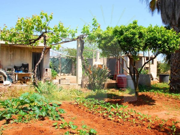 terreno agricolo in vendita a Salve