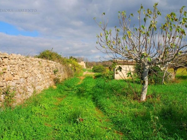 terreno agricolo in vendita a Salve