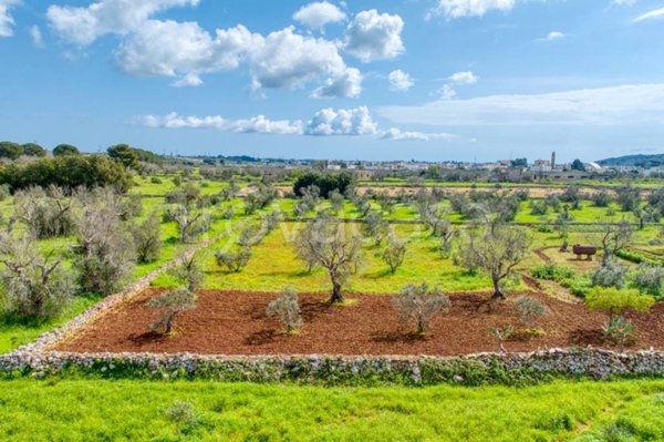 casa indipendente in vendita a Salve in zona Ruggiano