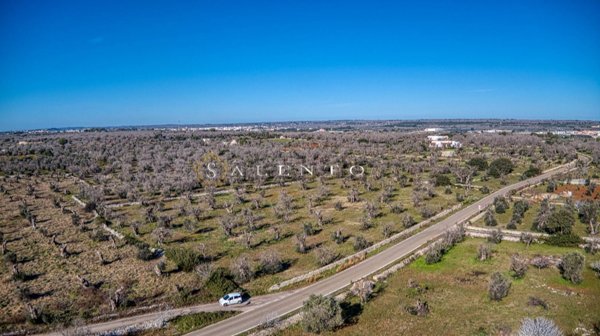 casa indipendente in vendita a Salve