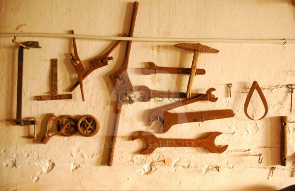 casa indipendente in vendita a Salve