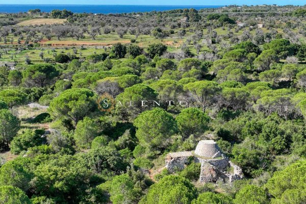 quadrivano in vendita a Salve