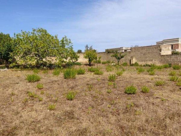 terreno agricolo in vendita a Salve