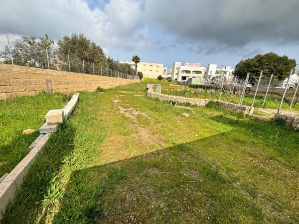 terreno agricolo in vendita a Salve