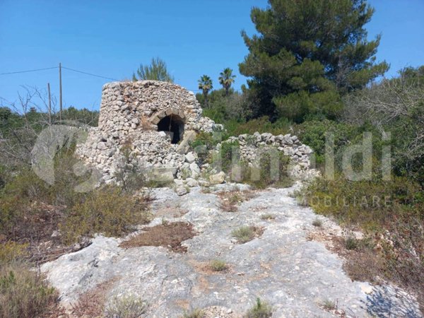terreno agricolo in vendita a Salve in zona Lido Marini