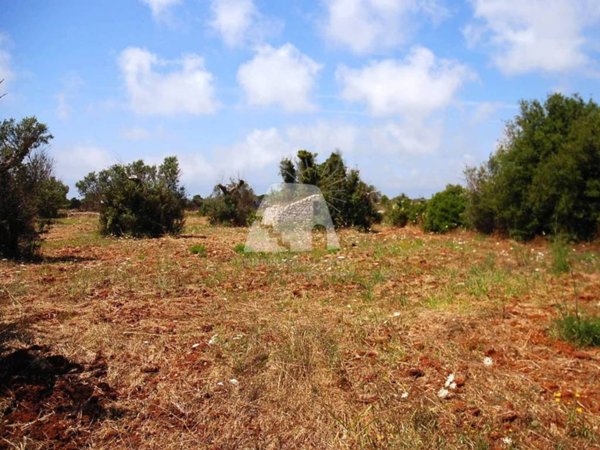 terreno agricolo in vendita a Salve in zona Ruggiano