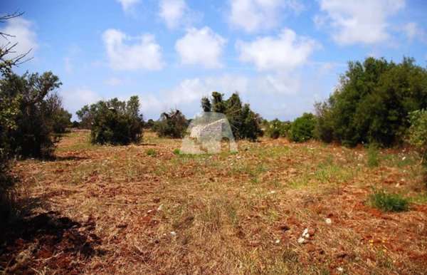 terreno agricolo in vendita a Salve in zona Ruggiano