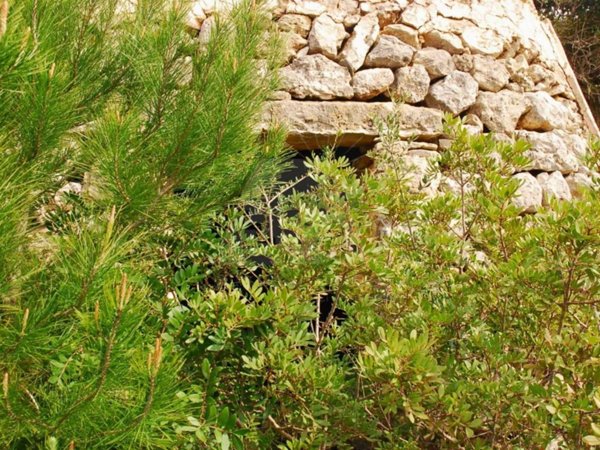 terreno in vendita a Salve in zona Ruggiano