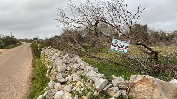 terreno in vendita a Salve in zona Ruggiano