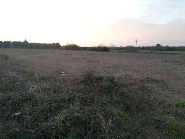 terreno agricolo in vendita a Sanarica