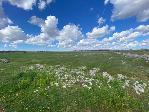 terreno agricolo in vendita a Sanarica
