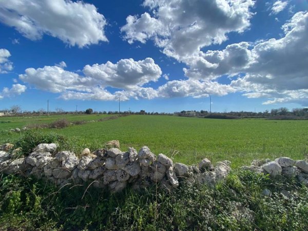 terreno agricolo in vendita a Sanarica