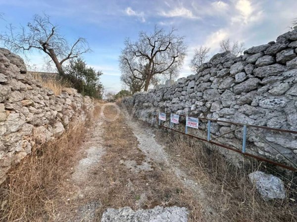 terreno agricolo in vendita a Sanarica