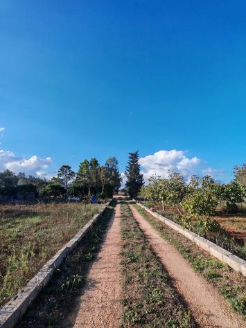 terreno agricolo in vendita a Sanarica