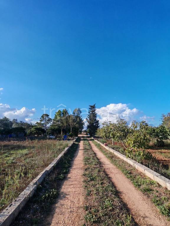 terreno agricolo in vendita a Sanarica