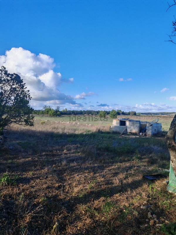 terreno agricolo in vendita a Sanarica