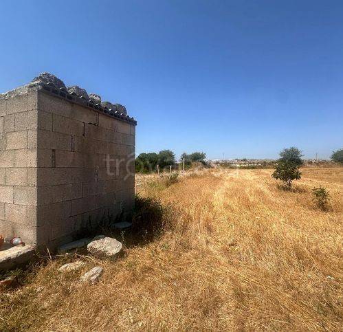 terreno agricolo in vendita a Sanarica