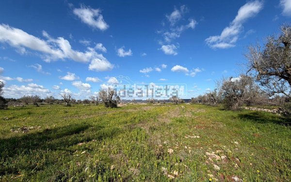 terreno agricolo in vendita a Sanarica