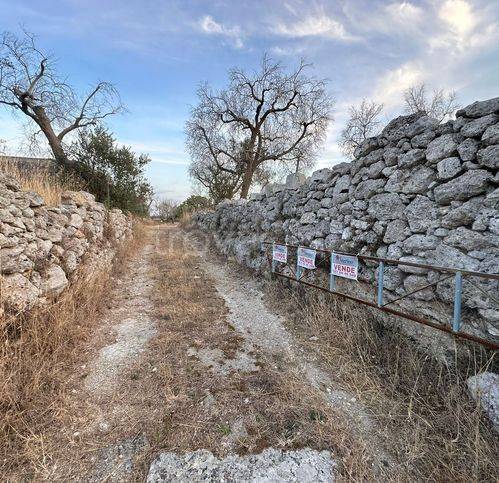 terreno agricolo in vendita a Sanarica