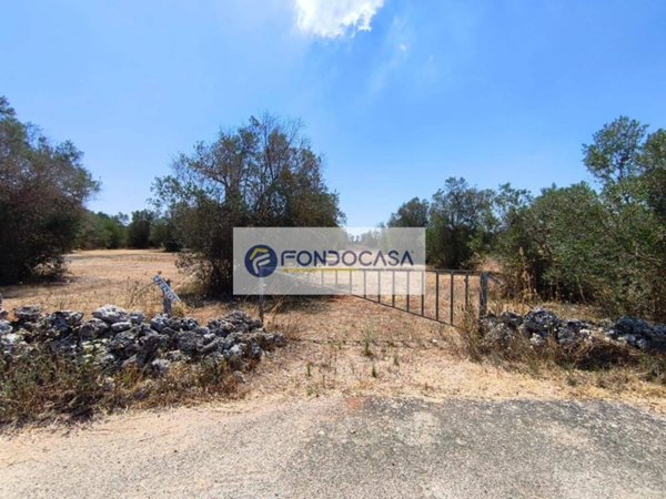 terreno agricolo in vendita a Sanarica