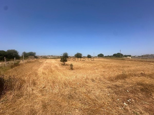 terreno in vendita a Sanarica