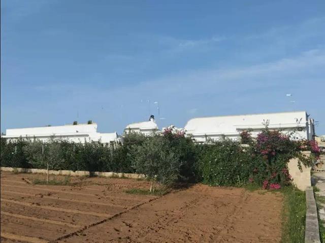 casa indipendente in vendita a San Cesario di Lecce