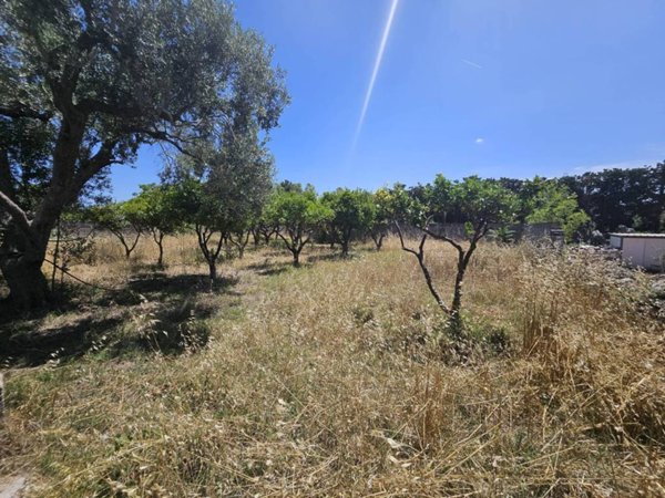 terreno agricolo in vendita a San Cesario di Lecce