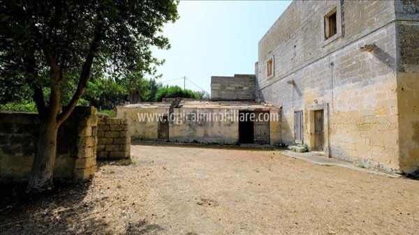 esavano in vendita a San Cesario di Lecce