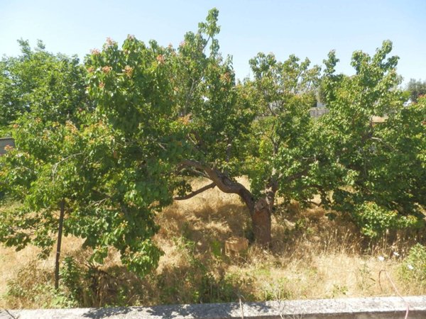 casa indipendente in vendita a San Cesario di Lecce