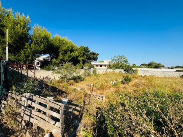 terreno agricolo in vendita a San Cesario di Lecce