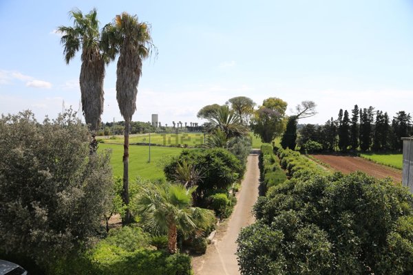 esavano in vendita a San Cesario di Lecce