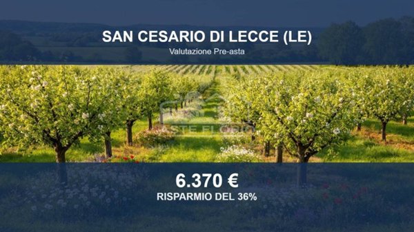 terreno agricolo in vendita a San Cesario di Lecce