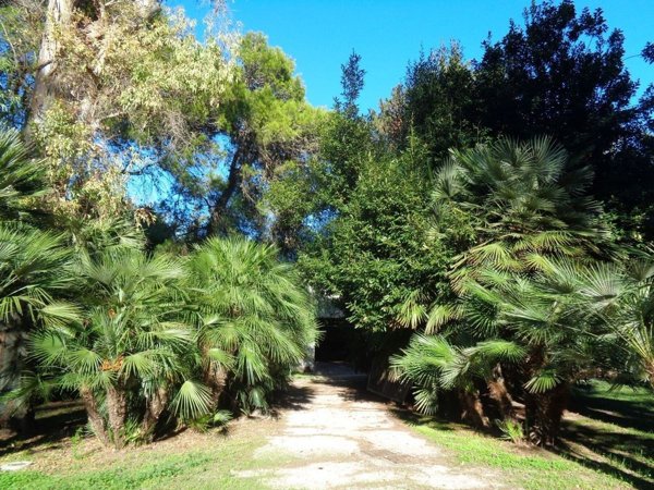 casa indipendente in vendita a San Cesario di Lecce