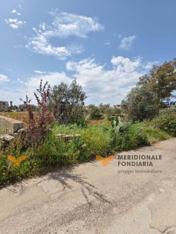 terreno agricolo in vendita a San Donato di Lecce
