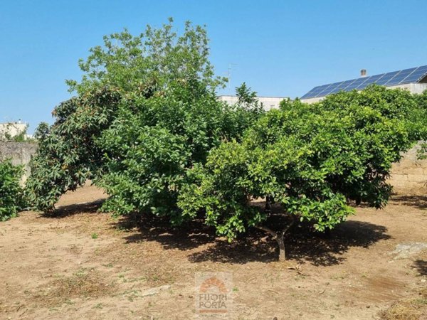 appartamento in vendita a San Donato di Lecce in zona Galugnano