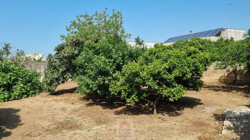casa indipendente in vendita a San Donato di Lecce in zona Galugnano