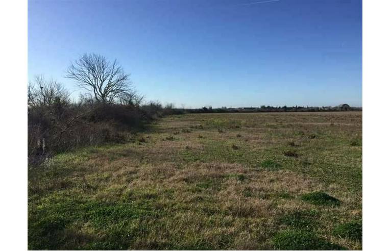 terreno agricolo in vendita a San Donato di Lecce