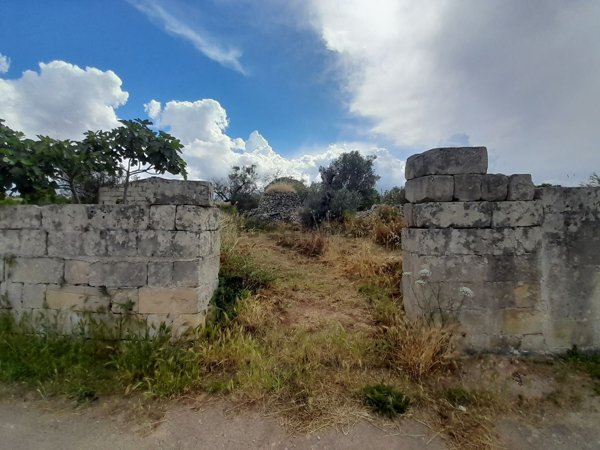 terreno agricolo in vendita a San Donato di Lecce