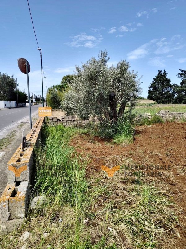 terreno edificabile in vendita a San Donato di Lecce