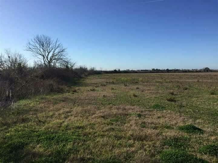 terreno agricolo in vendita a San Donato di Lecce